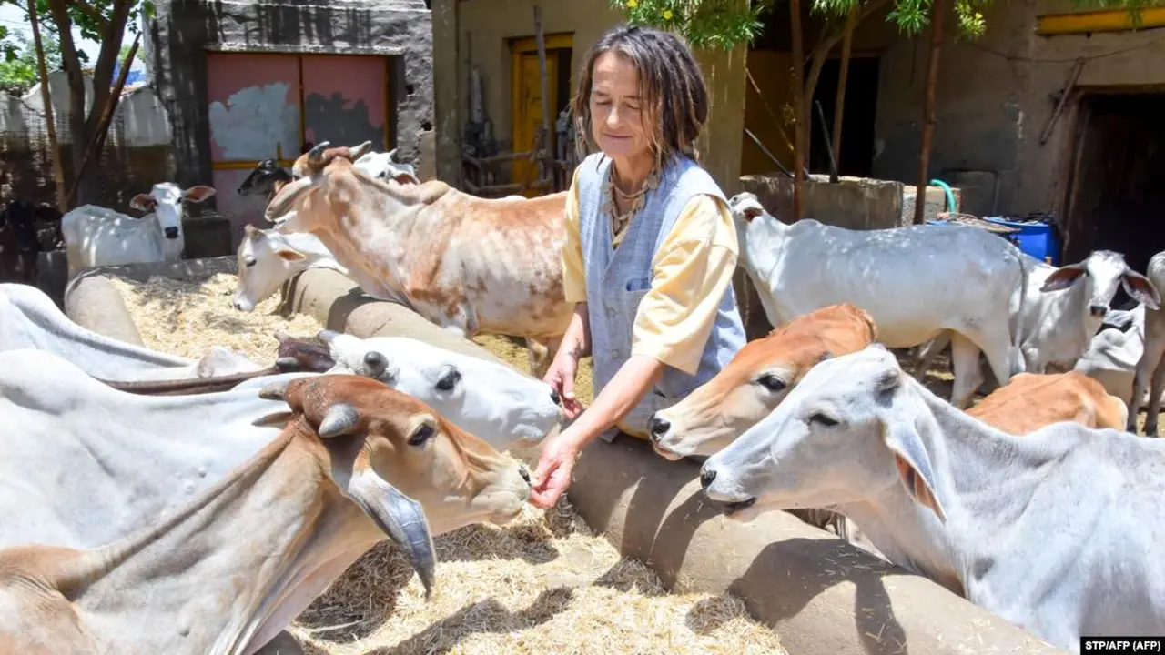 Warga Jerman, Friederika Irina Bruening, 61 menyusun gambar-gambar dewa di desa Radhakund di distrik Mathura, negara bagian Uttar Pradesh, 27 Mei 2019 (STR/AFP)