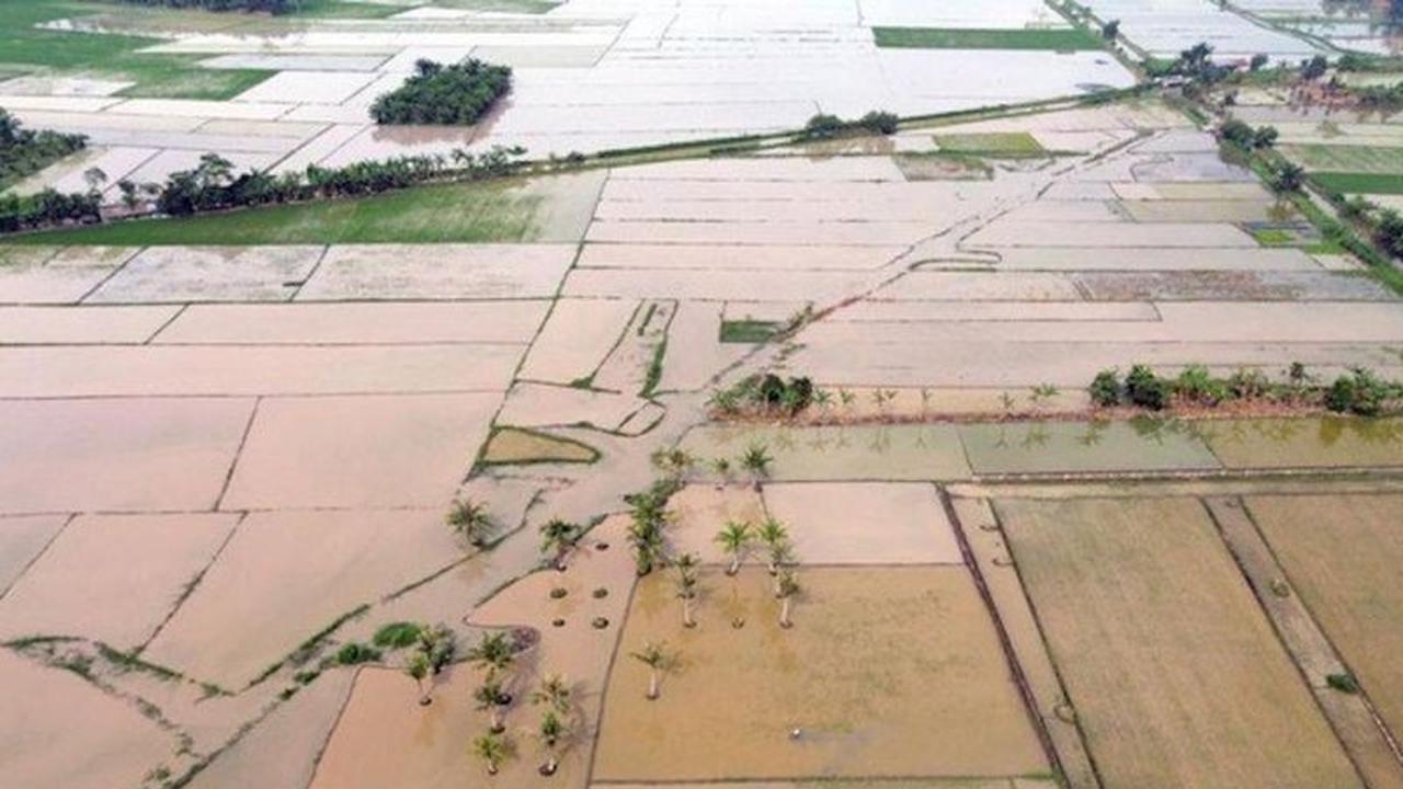 Satgas PRR Percepat Rehabilitasi Sawah Terdampak Bencana di Sumatera