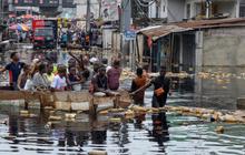 WHO Ungkap Gejala Penyakit Misterius di Kongo yang Menewaskan Ratusan Orang