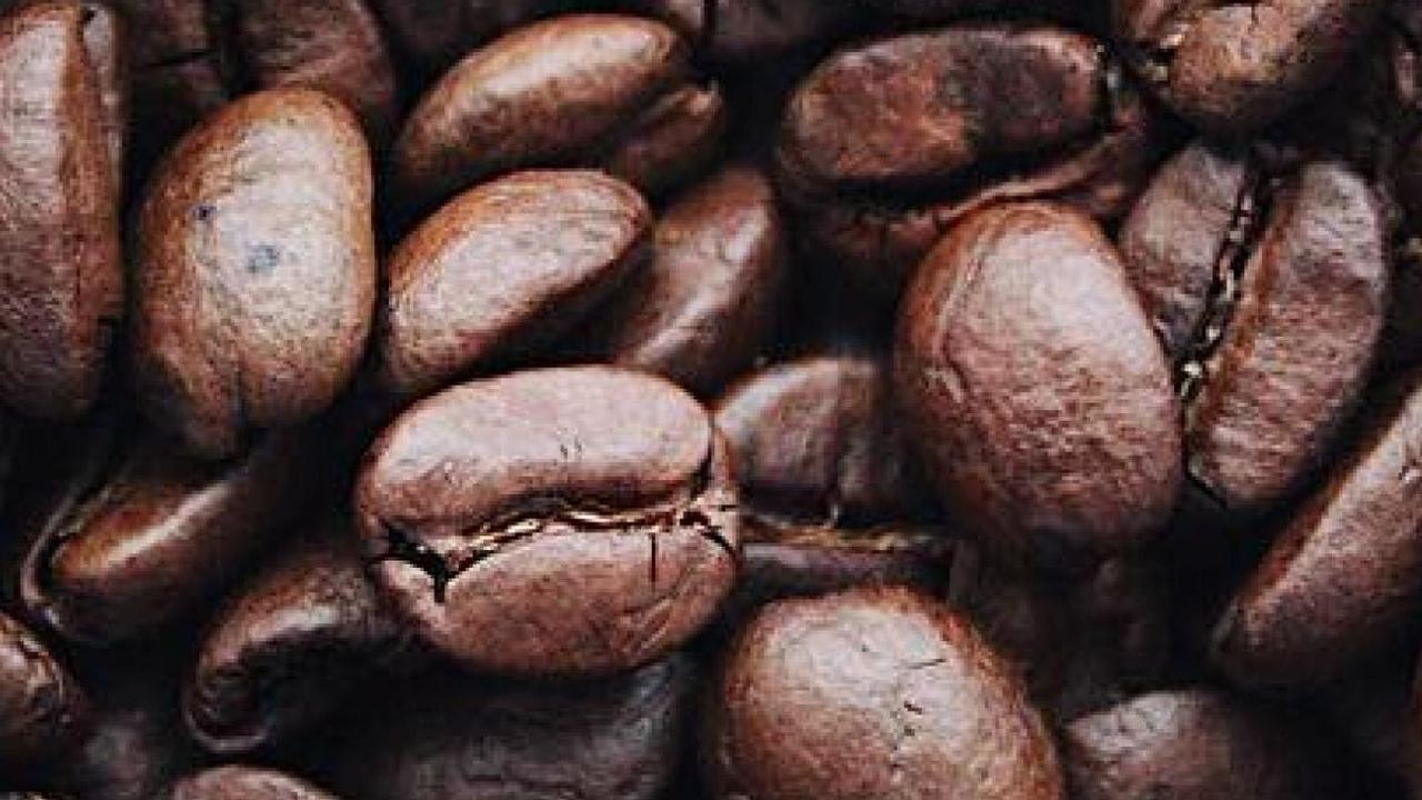 1. Senyawa Kimia di dalam Kopi: Asam Klorogenat dan Kafein