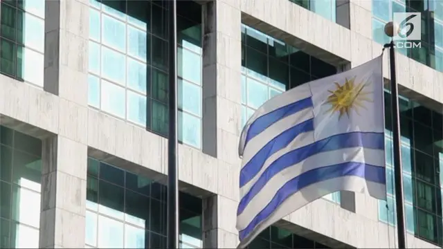 Uruguay menjadi negara pertama di Amerika Selatan yang menjual mariyuana secara legal.