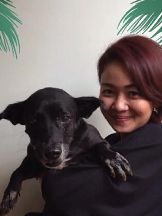 (via instagram/@pandasuper)