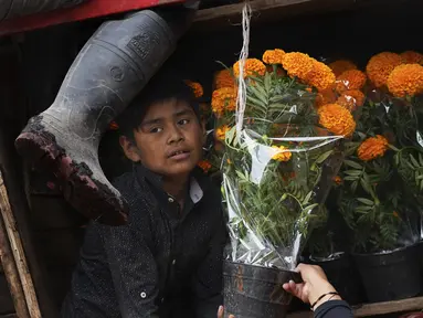 Seorang pemuda membawa bunga cempasuchil di salah satu kanal Xochimilco, Mexico City, Rabu (19/10/2022). Cempasuchil atau bunga marigold Meksiko juga dikenal sebagai bunga orang mati dan digunakan dalam perayaan Day of the Dead. (AP Photo/Marco Ugarte)