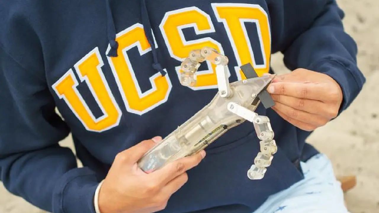 Robot ini dilengkapi dengan pelengkap mirip sirip yang memungkinkannya berenang di bawah pasir. Kredit: David Baillot/Universitas California San Diego