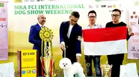 Jie-Jie Mewakili Asia di CRUFTS 2022 Dog Show di Inggris