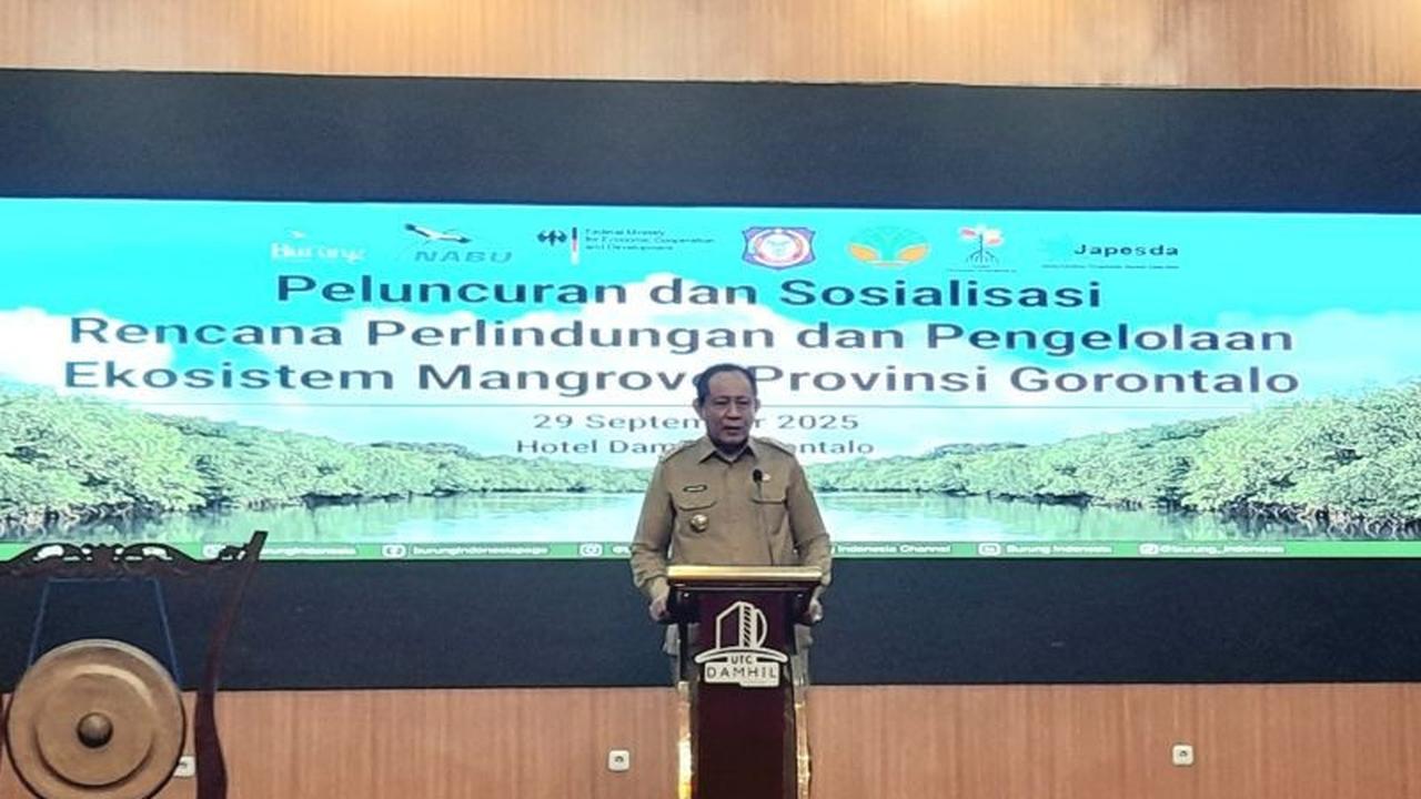 Gubernur Gorontalo Targetkan Luas Ekosistem Mangrove Lebih dari Tambak Ikan: Apa Pentingnya?