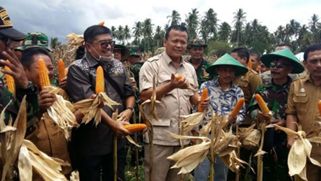Komisi IV DPR Berharap Gorontalo Jaga Bibit Lokal Jagung