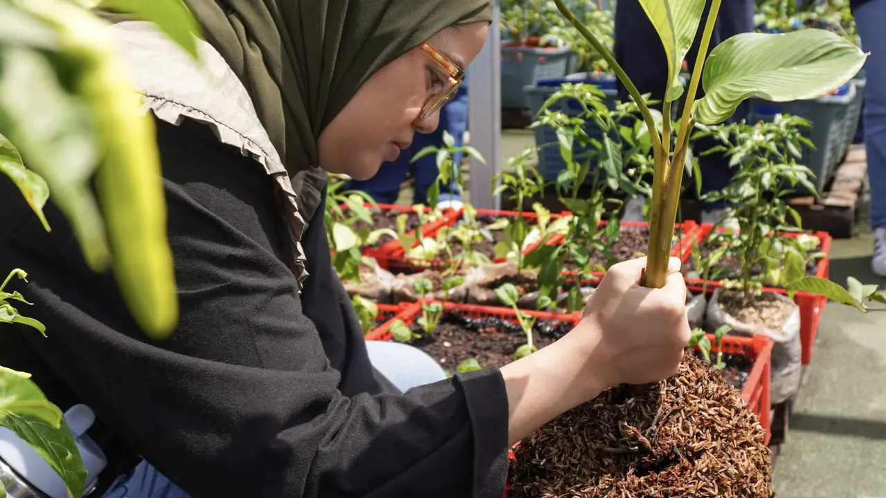 Salah seorang peserta sedang melakukan aktivitas penanaman pohon sebagai bagian dari program Urban Biodiversity.