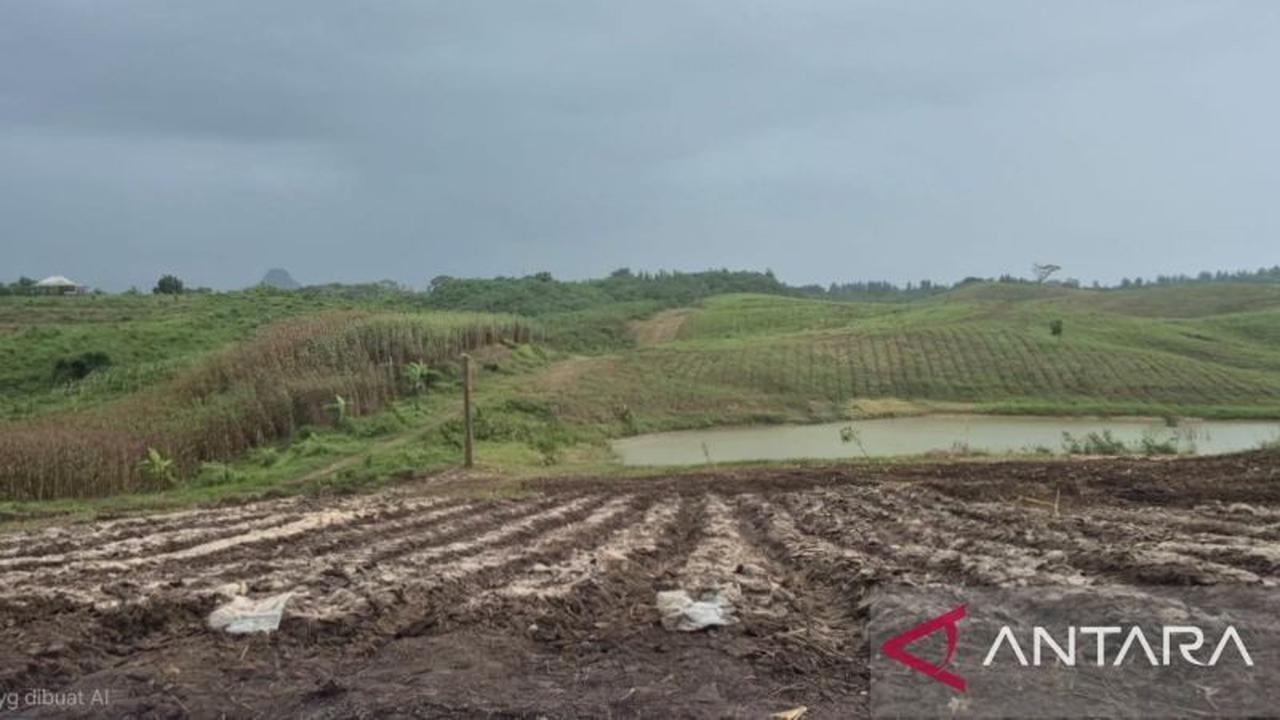 Hadapi El Nino 2026, Bandung Barat Siapkan Strategi Budi Daya Adaptif untuk Ketahanan Pangan