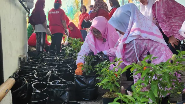 Berdayakan Lahan Terbatas, Kampung Palm Eco Green Village Malang Makin Asri Berkat Program BRInita