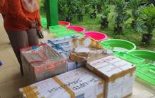 Kaltim Genjot Produksi 30.000 Benih Sawit Lokal, Siap Mandiri & Unggul!
