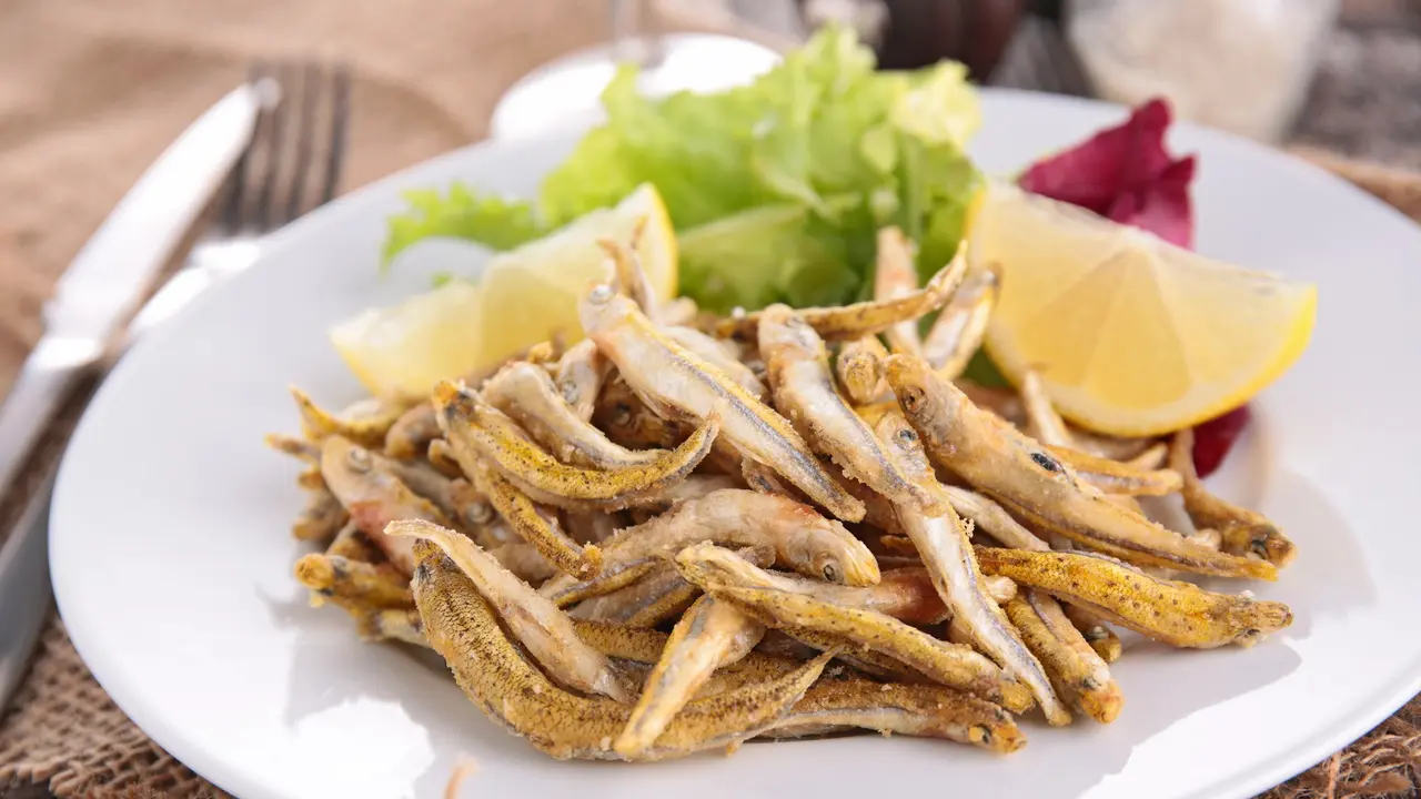tips ikan teri