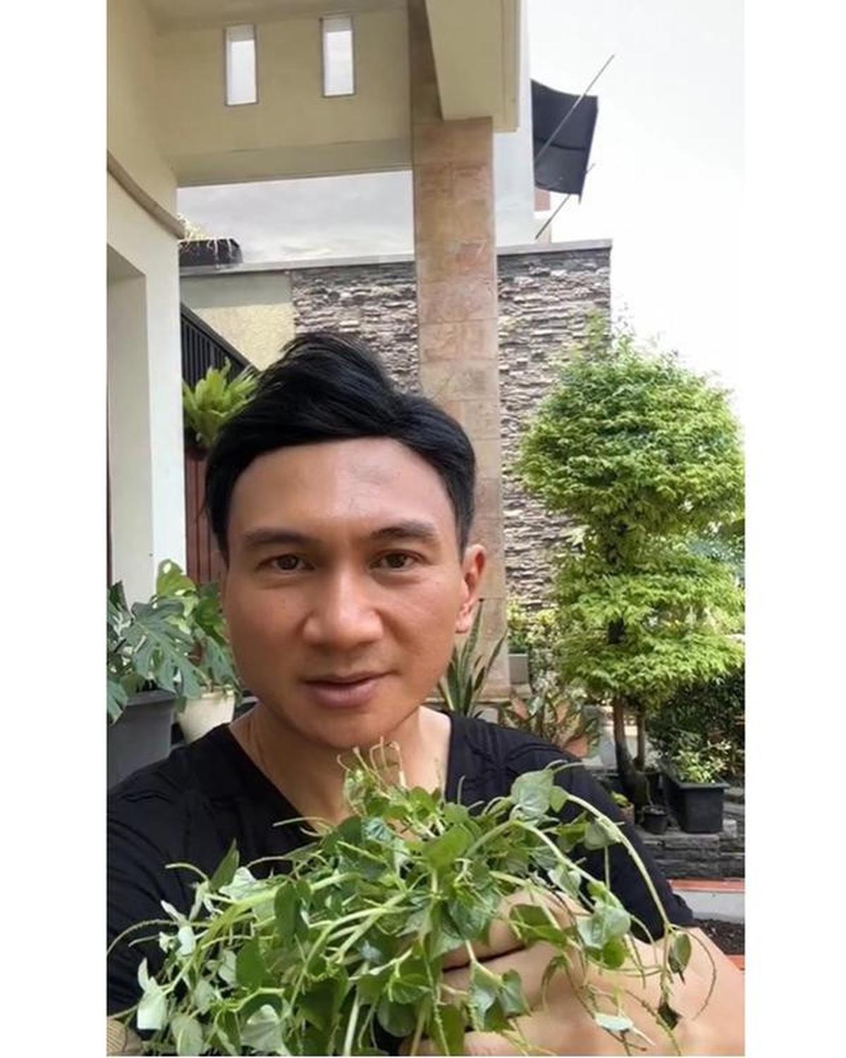 7 Potret Teras Depan Rumah Anji, Halaman Dipakai Berkebun dan Budidaya Sirih China