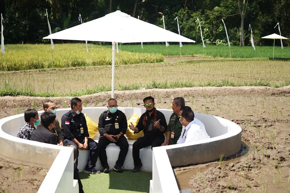 Menteri Pertanian Syahrul Yasin Limpo (Mentan SYL) mengunjungi sekaligus panen padi di Svarga Bumi Borobudur, lokasi agro wisata sawah Kabupaten Magelang,