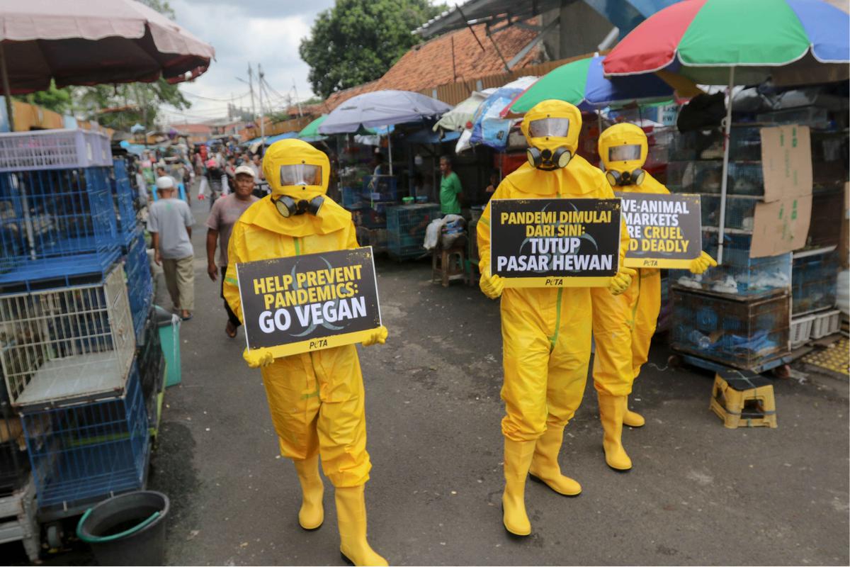 Aktivis PETA demo di Pasar Hewan Jatinegara