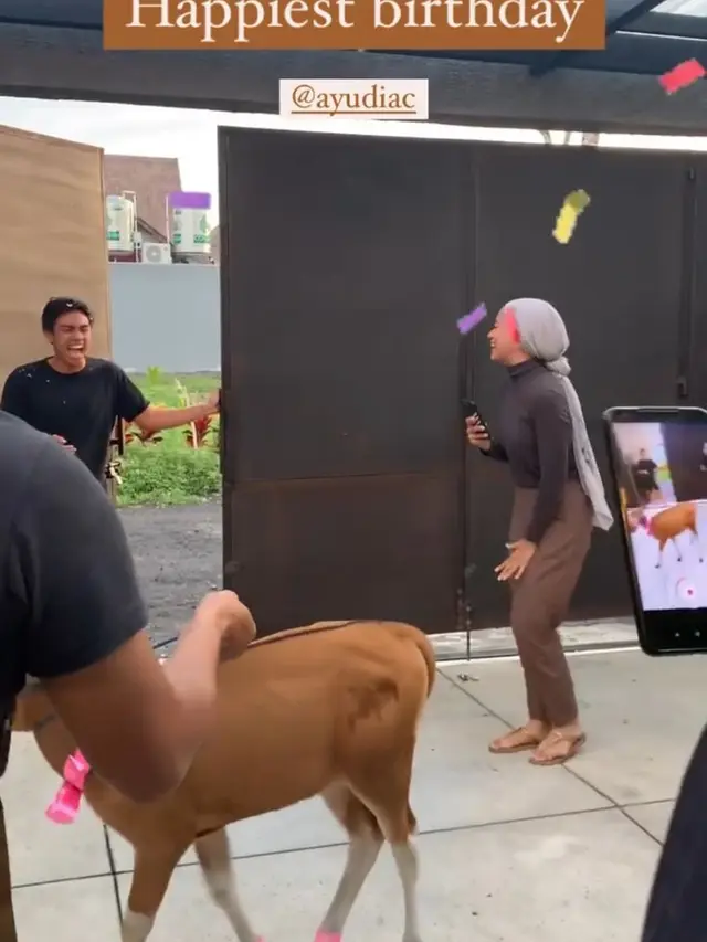 7 Momen Ulang Tahun Ayudia Bing Slamet, Bahagia Dapat Kado Anak Sapi dari Suami