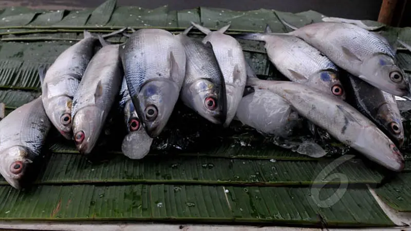 Jelang Imlek, Penjualan Ikan Bandeng Meningkat