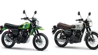 Kawasaki W175 TR green dan W175 CAFE white (KMI)