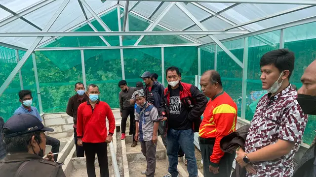 Budidaya maggot