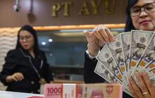 Jangan Salah Kaprah, Begini Perbedaan Karakteristik Mata Uang Dolar dengan Bitcoin