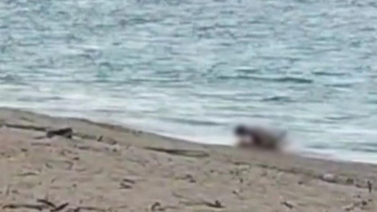 Viral Video Dua WNA Diduga Mesum di Pantai Mandalika