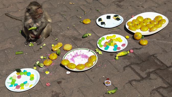 Seekor monyet makan makanan di depan kuil Prang Sam Yod selama Festival Prasmanan Monyet tahunan di Lopburi, Bangkok, Thailand, Minggu (29/11/2020). Festival tersebut untuk mengucapkan rasa terima kasih kepada monyet yang telah menarik banyak wisatawan ke deerah itu. (Jack TAYLOR/AFP)