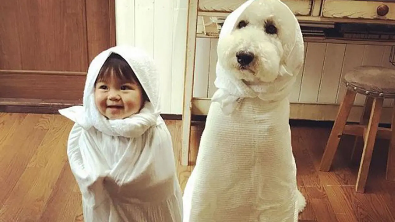 Viral, Tingkah Lucu Bayi dan Anjing Poodle Bikin Gemas