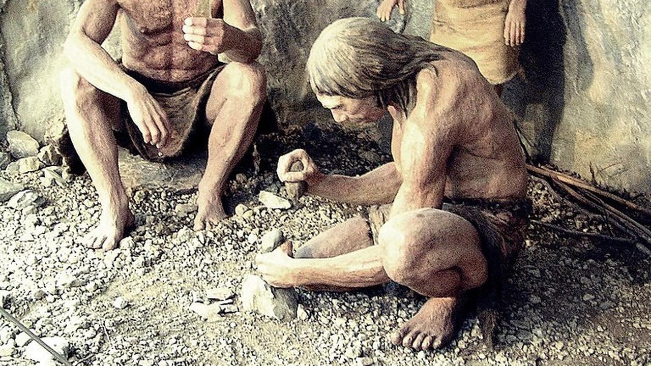 Ilustrasi Neanderthal