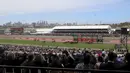Suasana keseruan para penonton melihat pacuan kuda Melbourne Cup di Flemington Racecourse di Melbourne ,Australia, Selasa (3/11/2015). Peserta pacuan Michelle Payne dengan kudanya Prince of Penzance memenangkan lomba. (REUTERS/Hamish Blair)