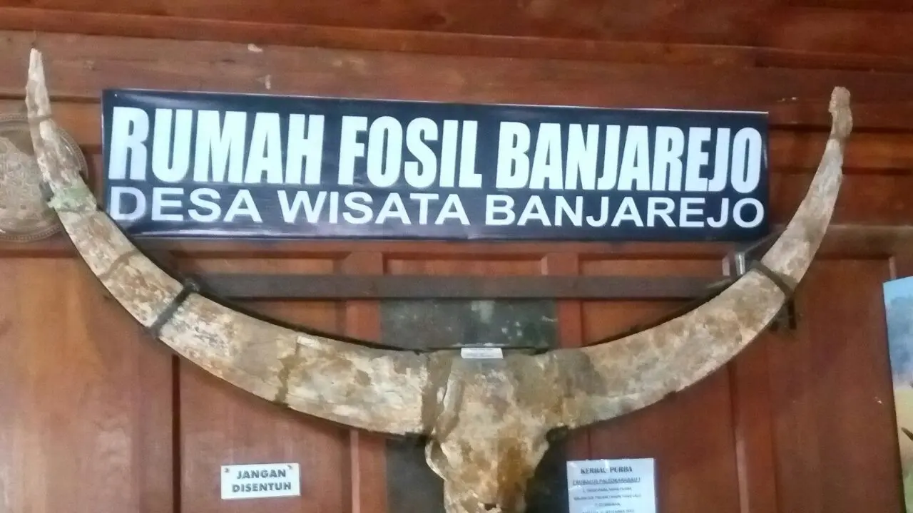 rumah fosil banjarejo