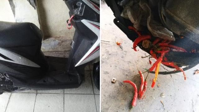 motor mogok karena ulah tikus