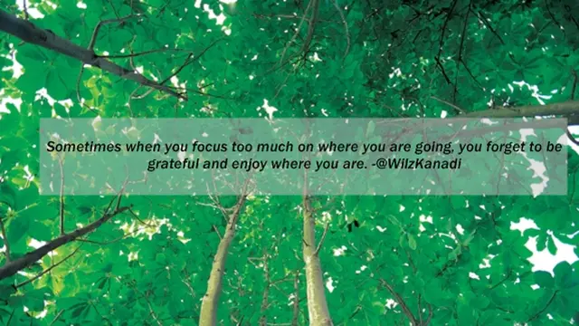 Foto: copyright ThinkStockPhotos.com