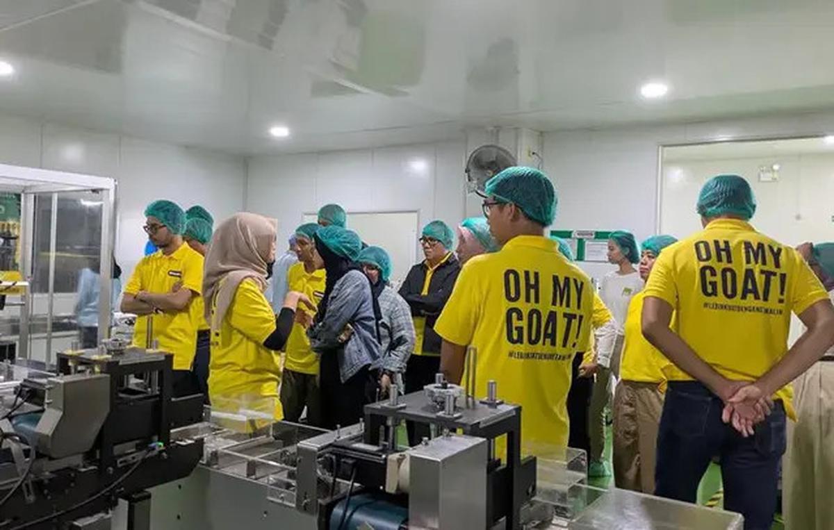 Alasan Susu Kambing Lebih Unggul dalam Mendukung Kesehatan Tulang dan Sendi