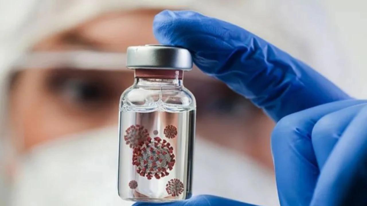 Eks Direktur WHO Ungkap Asal-usul Nama Virus Nipah, Ternyata Berawal dari Desa di Malaysia