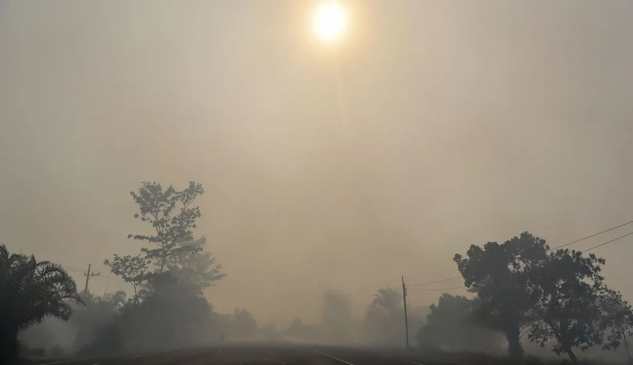 Jalan yang diselimuti kabut asap di Kota Palangka Raya, Kalimantan Tengah, Kamis,  20 Agustus 2026. (AFP/ Reina)