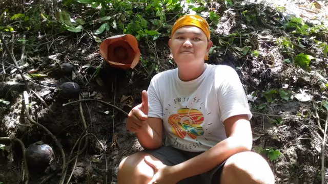 Belasan Rafflesia Langka Segera Bermekaran Di Bengkulu
