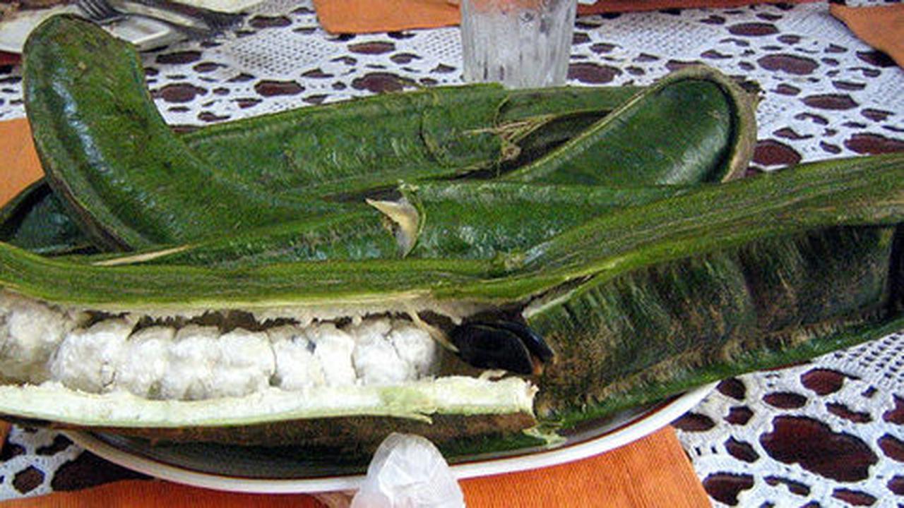 Unik, buah polong ini miliki rasa selezat es krim vanilla