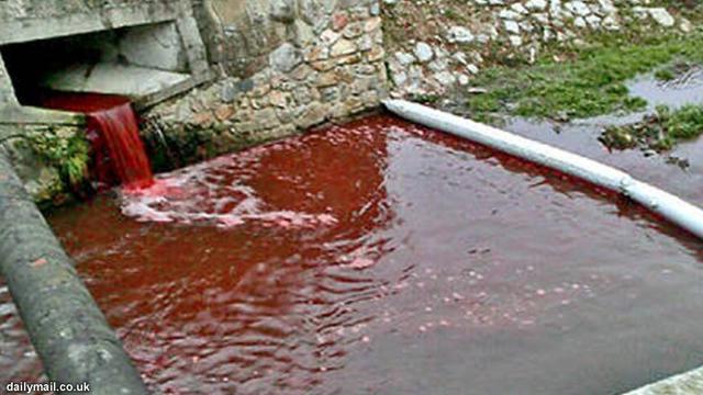 Misteri... Horor Saat Sungai dan Danau Berubah Jadi `Kolam Darah