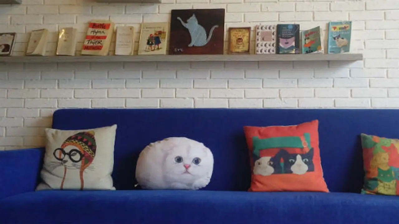 The Cat Cabin.Vemale.com/Zika Z