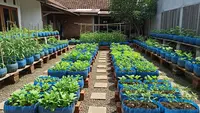 10 Cara Membuat Kebun Pangan Keluarga dari Galon Bekas, Produktif dan Ramah Lingkungan