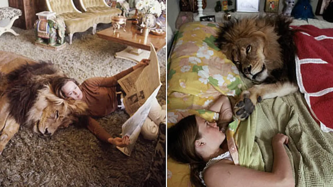 Foto: copyright boredpanda.com