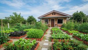Desain Rumah Agar Bisa Tanam Sayur. Foto: Gemini