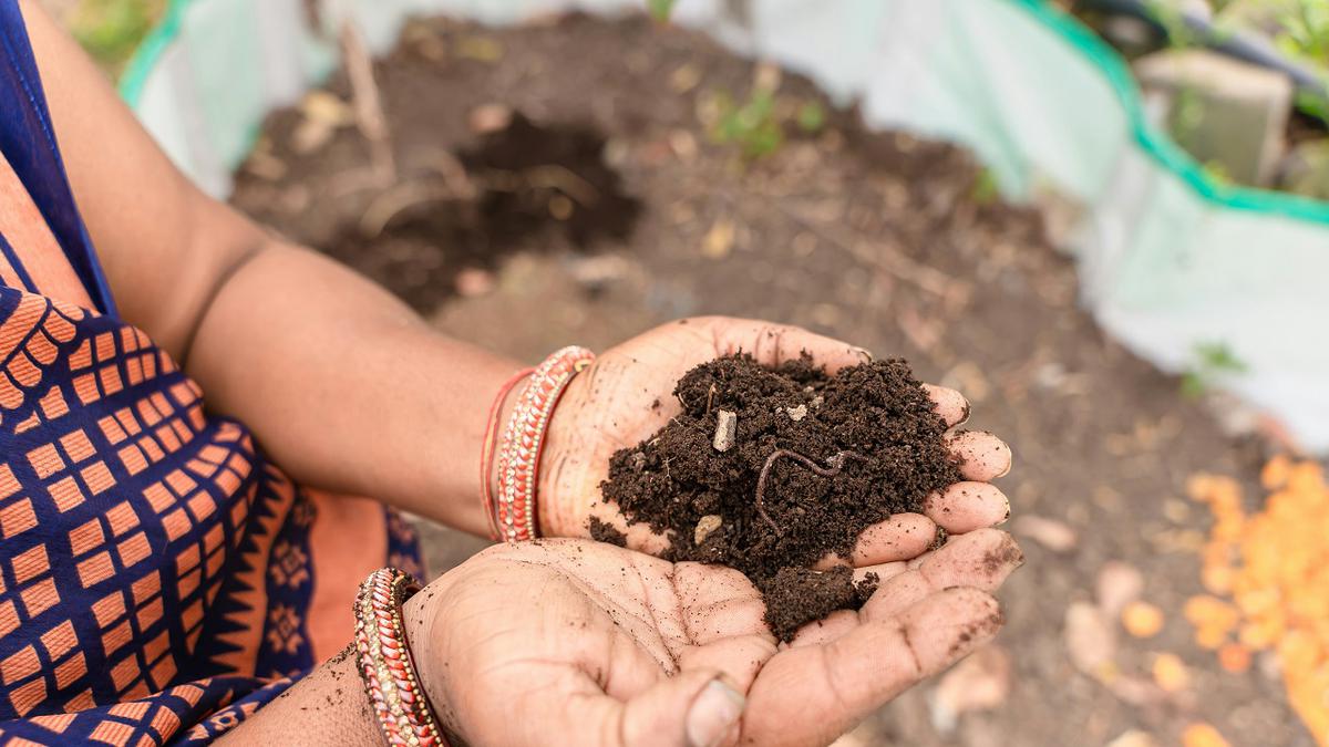 4 Cara Buat Kompos Mini Tanpa Bau untuk Rumah Sempit, Cuma Butuh Satu Wadah