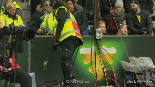 Oknum suporter Brondby coba meneror pemain Kobenhavn dengan melempar bangkai tikus. This video is presented by BallBall.