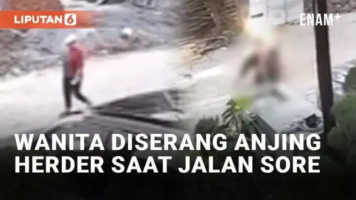 VIDEO: Wanita di Semarang Diserang Anjing Herder Saat Jalan Sore