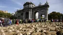 Sekitar 2000 domba berjalan melewati Gerbang Alcala saat parade tahunan di Madrid, Spanyol Minggu (25/10). Setiap tahunnya, para penggembala berdemonstrasi menentang perluasan wilayah perkotaan dan praktik-praktik pertanian modern.(REUTERS/Sergio Perez)