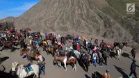 Puluhan joki berkuda menunggu wisatawan yang akan turun dari Gunung Bromo di Taman Nasional Bromo Tengger Semeru, Jawa Timur, Sabtu (4/11). Joki akan mendampingi wisatawan keliling kawasan Gunung Bromo. (Liputan6.com/Fery Pradolo)