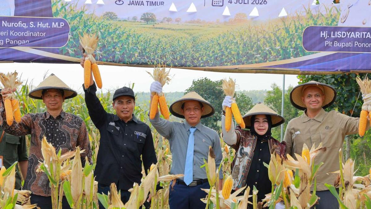 Kolaborasi Jadi Kunci Tingkatkan Produktivitas Jagung Nasional