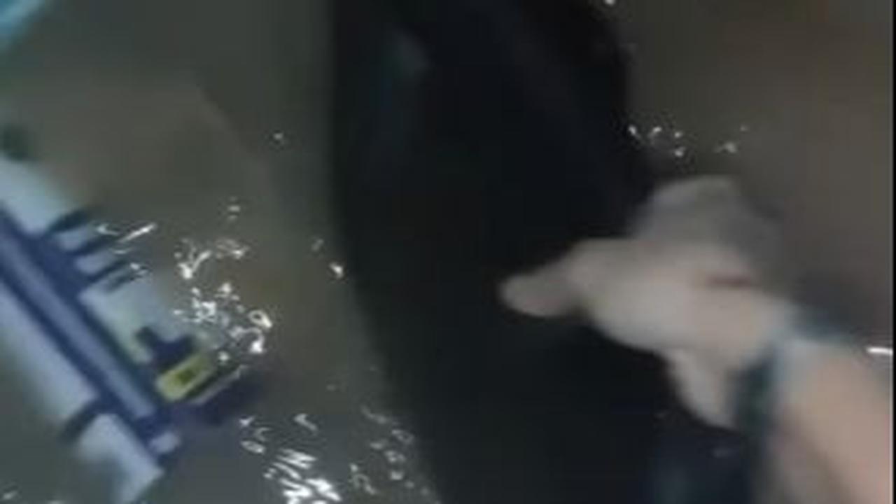 Selain itu ia juga terkejut melihat laptopnya yang juga tenggelam air banjir. Wanita ini sontak segera mengangkat tas berisikan laptop itu dari dalam air.<br>