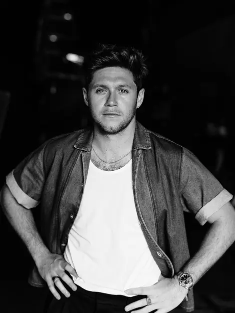 Niall Horan Puncaki Uk Chart Untuk Pertama Kali Lewat Album Heartbreak Weather News Entertainment Fimela Com